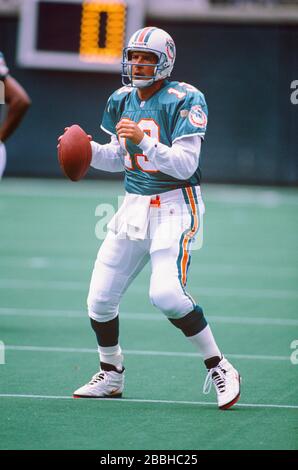 Quarterback Dan Marino #13 of the Miami Dolphins drops back to pass.Circa  the 1980's. (Icon Sportswire via AP Images Stock Photo - Alamy