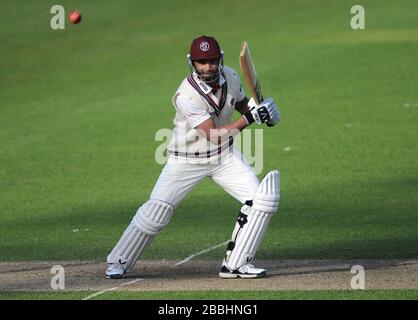 Somerset's Alviro Petersen in batting action against Surrey. Stock Photo