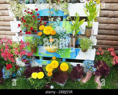 Hanging Pallet Garden at Boston West Academy full of bright summer annuals and bedding plants Stock Photo