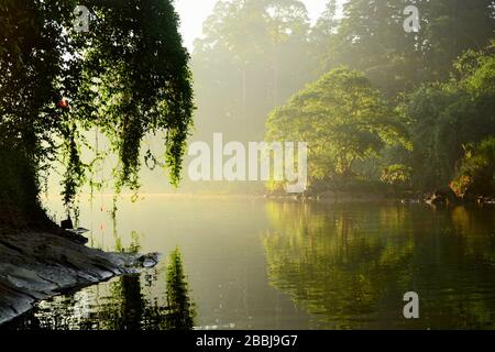 Mahaweli river with sunny morning light. Bright tree reflected in a water.  Early morning time. Landscape near Royal Botanical Gardens in Peradeniya Stock Photo