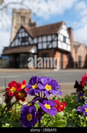 Pinner Parish Church in High Street, Pinner, Middlesex UK with historic half timbered Tudor building in front and primula flowers in foreground. Stock Photo