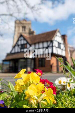 Pinner Parish Church in High Street, Pinner, Middlesex UK with historic half timbered Tudor building in front and primula flowers in foreground. Stock Photo