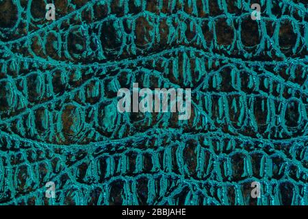 Abstract green emerald color patent leather texture, embossed scales reptiles on the surface, bright design background Stock Photo