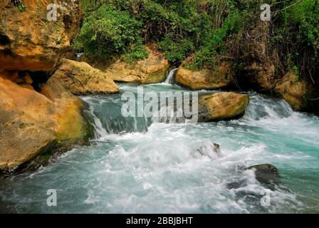 Banias stream in northern Israel Stock Photo