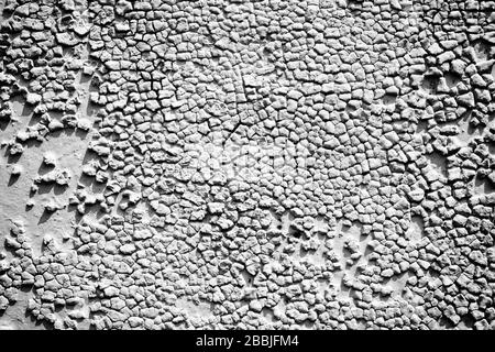 Surface of the old metal wall is covered with a lot of cracks. Destruction of the old cracked paint. Grunge background texture. Stock Photo