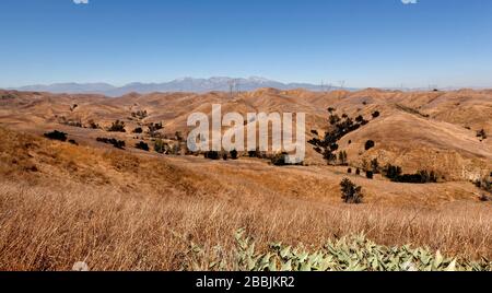 Alison canyon and San Bernardino Mountains in the distance, Chino Hills State Park, Chino, California, United States, North America Stock Photo