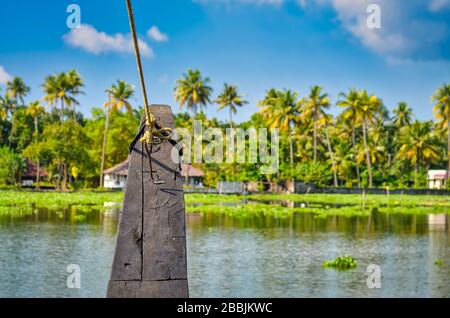 The bow of a houseboat moving to the shore in the backwaters. From Kerala India. Stock Photo