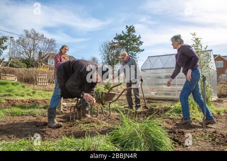 Working on a new allotment in order to grow their own food and stay healthy Stock Photo