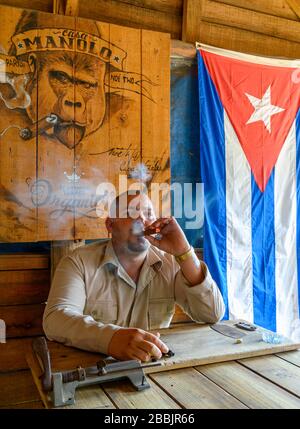 Tobacco farmer smokes cigar at Manolo farm, Vinales, Pinar del Rio Province, Cuba Stock Photo