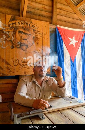 Tobacco farmer smokes cigar at Manolo farm, Vinales, Pinar del Rio Province, Cuba Stock Photo