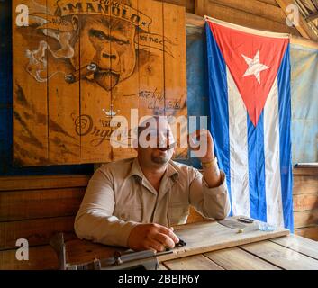 Tobacco farmer smokes cigar at Manolo farm, Vinales, Pinar del Rio Province, Cuba Stock Photo