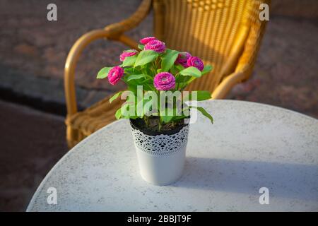 flower vase on the restaurant table Stock Photo