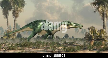 Suchomimus was a large carnivorous spinosaurid theropod dinosaur that lived in Cretaceous era Africa. It likely at fish and was semi-aquatic. Stock Photo