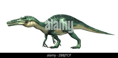 Suchomimus was a large carnivorous spinosaurid theropod dinosaur that lived in Cretaceous era Africa. It likely at fish and was semi-aquatic. Stock Photo