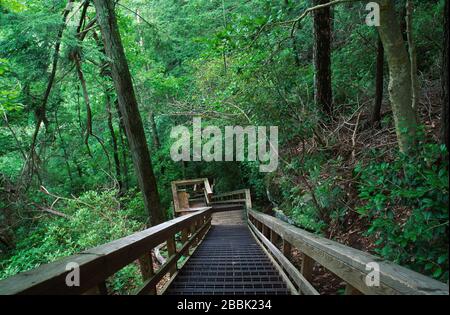 Stairway, Tallulah Gorge State Park, Georgia Stock Photo
