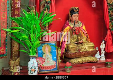 Chinese Temple, Darwin City, Northern Territories, Australia Stock Photo