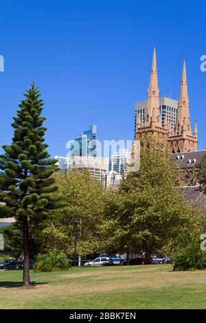 St. Mary's Cathedral viewed from The Domain,Central Business District,Sydney,New South Wales,Australia Stock Photo