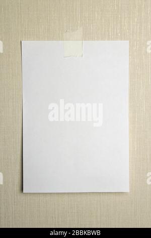 A4 white sheet of paper hanging on a wall glued with a piece of paper tape on a light background. Stock Photo