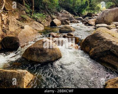 A small mountain river flows among large stones in mountainous areas through the forest. Natural landscape, with a clean river a beautiful landscape, Stock Photo