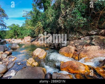 A small mountain river flows among large stones in mountainous areas through the forest. Natural landscape, with a clean river a beautiful landscape, Stock Photo