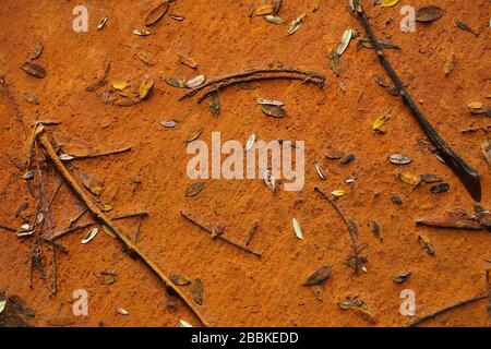 Abstract created by iron-stained water running from a leaking pipe across a sidewalk, staining the cement orange and collecting tiny leaves and twigs. Stock Photo