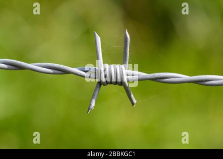 Barbed wire around a wooden fence Stock Photo