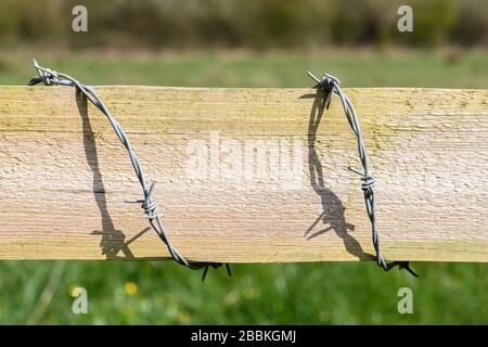 Barbed wire around a wooden fence Stock Photo