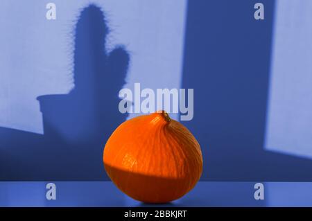 Bright orange pumpkin on a table and shadows in a wall in form of cactus or succulent, toned in blue color. Stock Photo