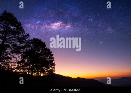 Landscape with Milky Way. Night sky with stars and some tree on the mountain. Stock Photo
