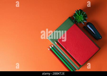 Red and green notebooks stand on an orange background, next to notebooks there are multi-colored pencils, and a green plant Stock Photo