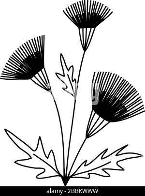 Arctium lappa burdock flower online. Simple image of a flower with three blossom inflorescences and leaves on thin stems, vector line art black doodle Stock Vector