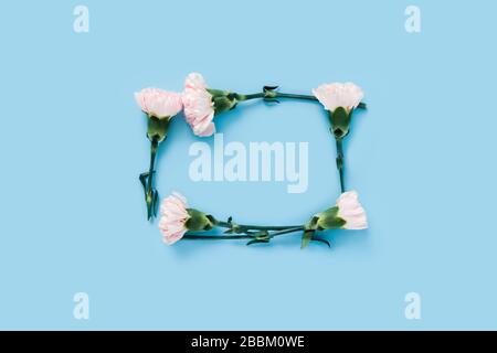 Beautiful flowers composition. Pink flowers with empty space for text on blue background. Flat lay. Stock Photo