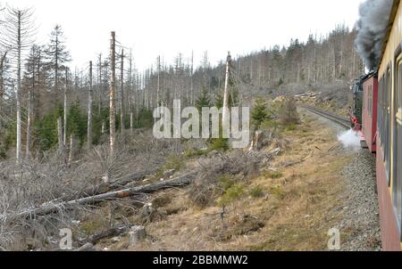 Brocken, Germany. 09th Jan, 2020. The forest in the Harz Mountains (in the picture on the Brocken) is not in good condition. Heat, storms and the bark beetle have badly affected it in recent years. Credit: Volkmar Heinz/dpa-Zentralbild/ZB/dpa/Alamy Live News Stock Photo