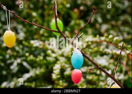 Colorful easter eggs hanging at branches in the garden as decoration for Easter. Some eggs are covered with snow. Stock Photo