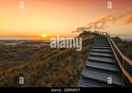 Wooden footpath and stairs crossing the dunes to the beach of Norddorf on the German North Sea island of Amrum in  vibrant sunset Stock Photo