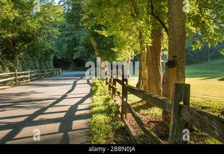 Morning sunlight casts shadows across a road in Wyomising Park in Reading, PA Stock Photo