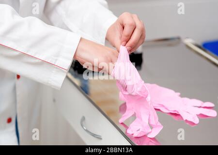 Doctor puts on pink gloves in hospital close up. Stock Photo