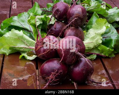 Close-up of organic beetroots with leaves on wooden table Stock Photo