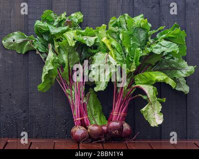Close-up of organic beetroots with leaves on wooden table Stock Photo