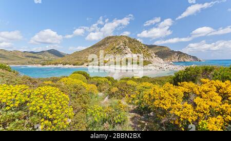 Landscape of Sardinia. Punta Molentis. Italy Stock Photo