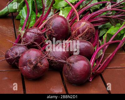 Close-up of organic beetroots with leaves on wooden table Stock Photo