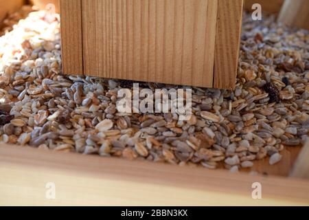 Bird seed in bird house, some bird food Stock Photo