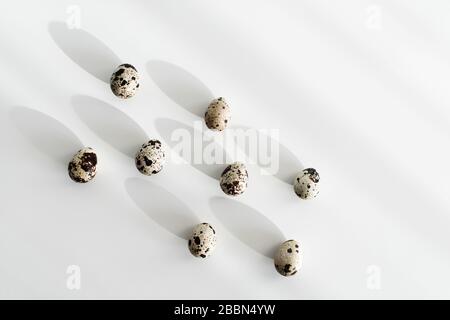 Quail eggs on white table background. Unusual and different photo for easter. Beautiful sun light. Paschal concept. Stock Photo