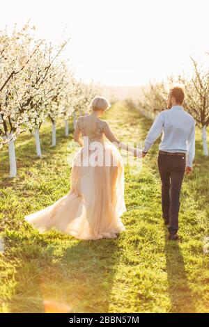 Back full length view of romantic couple man and woman in spring blooming garden, holding hands and walking together between rows of blossoming trees