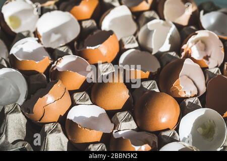 Texture of broken empty eggshell in carton box. View from above. Cooking on easter concept. Unusual photo of eggs. Stock Photo