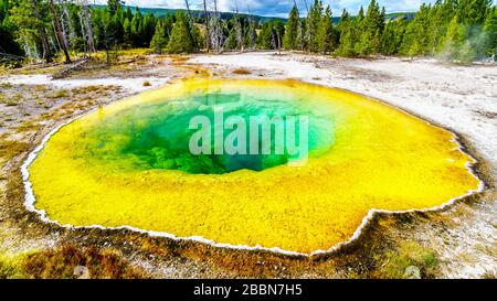 Yellow sulfur mineral deposits around the green and turquoise waters of the Morning Glory Pool in the Upper Geyser Basin of Yellowstone National Park Stock Photo