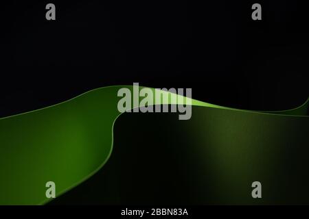 Abstract - closeup of two sheets of rolled green paper on a black background. Simple, isolated object with text space. Stock Photo