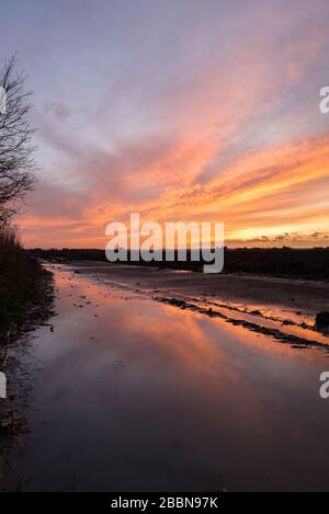 Colorful clouds illuminated by the setting sun with beautiful reflections in a pool of water after a rainy day. Stock Photo