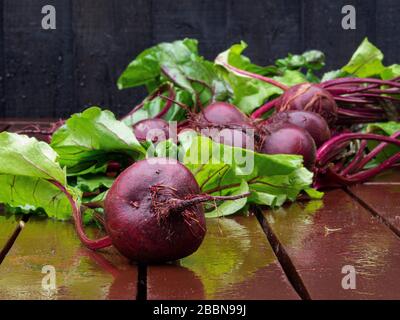 Close-up of organic beetroots with leaves on wooden table Stock Photo