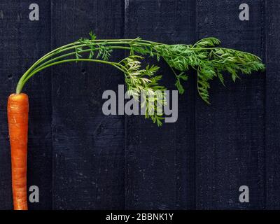organic carrot on wooden background horizontal blackboard Stock Photo